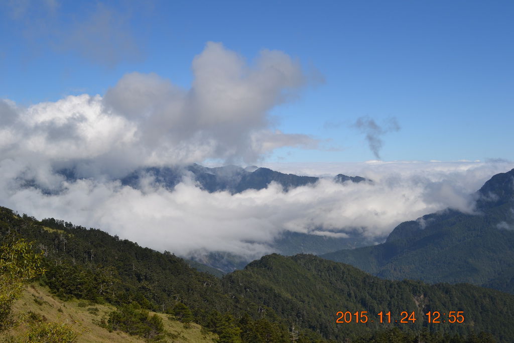 DSC_0118 DSC_0118