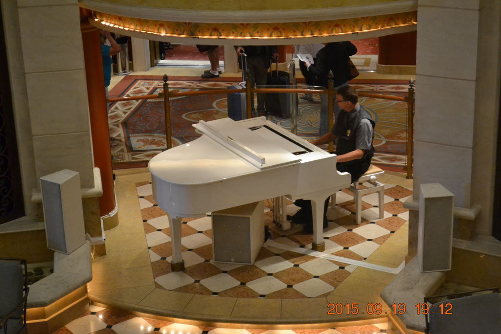DSC_0595 DSC_0595