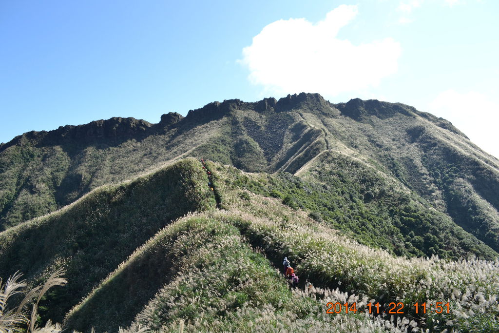 DSC_0277 DSC_0277
