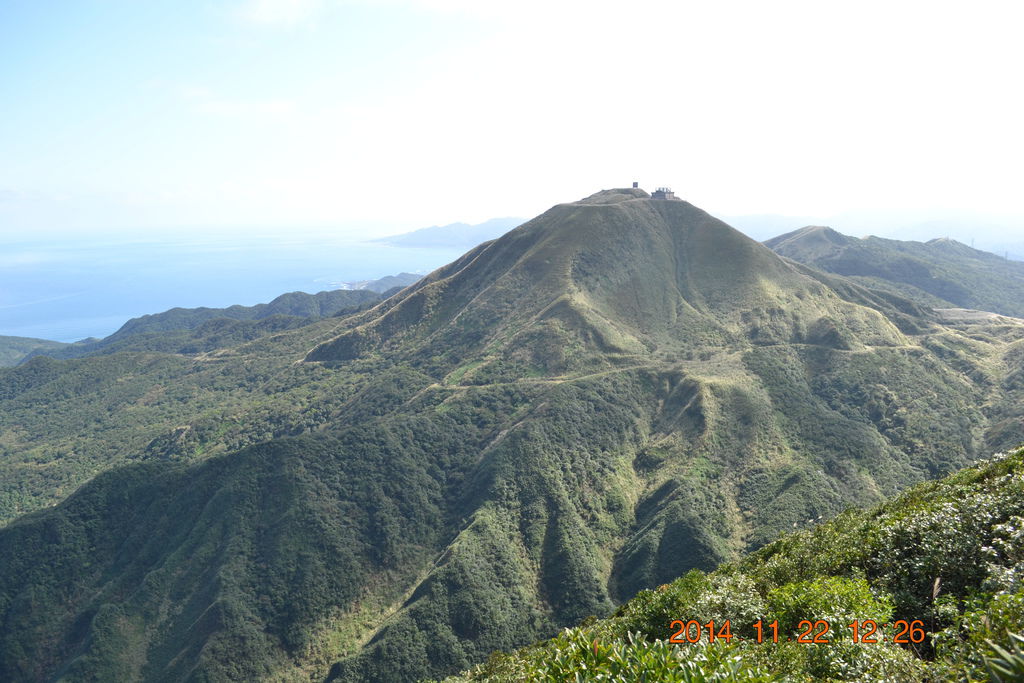 DSC_0290 DSC_0290