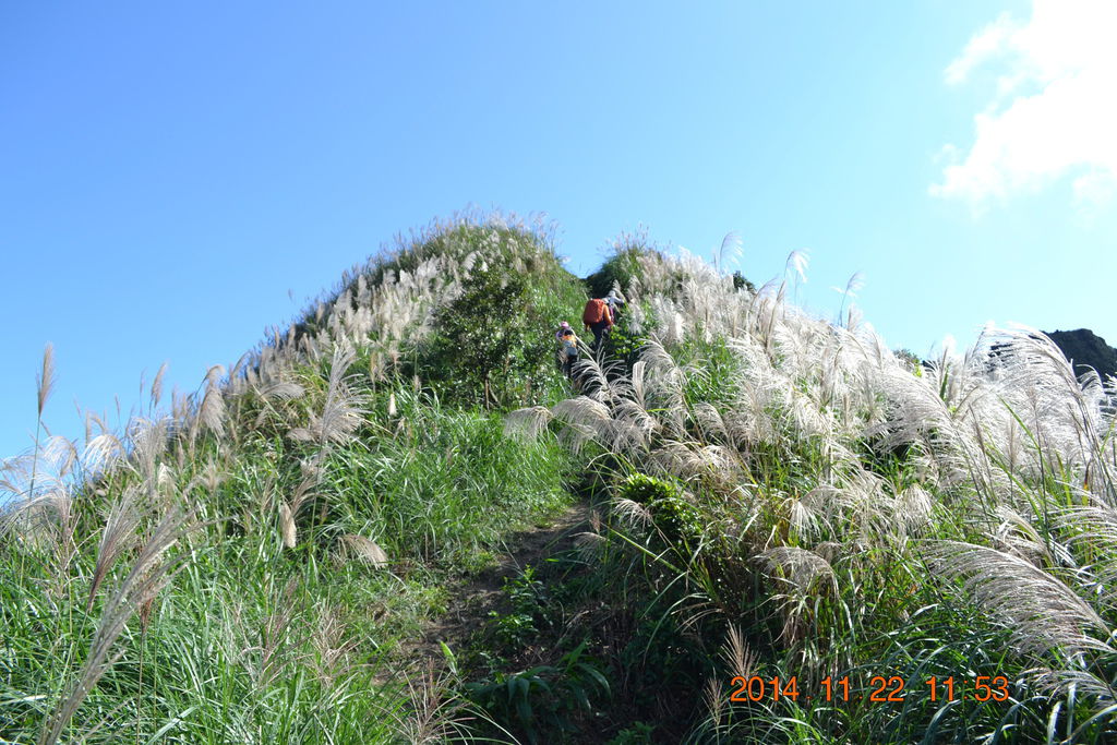 DSC_0278 DSC_0278