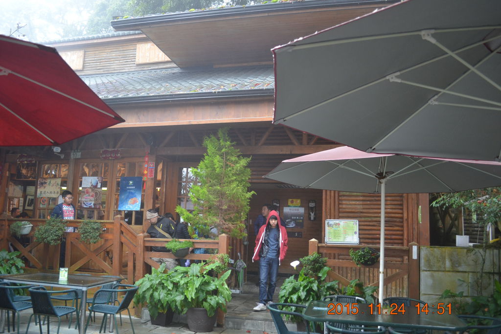 DSC_0194 DSC_0194