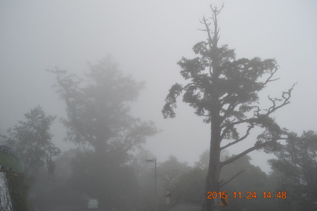 DSC_0183 DSC_0183