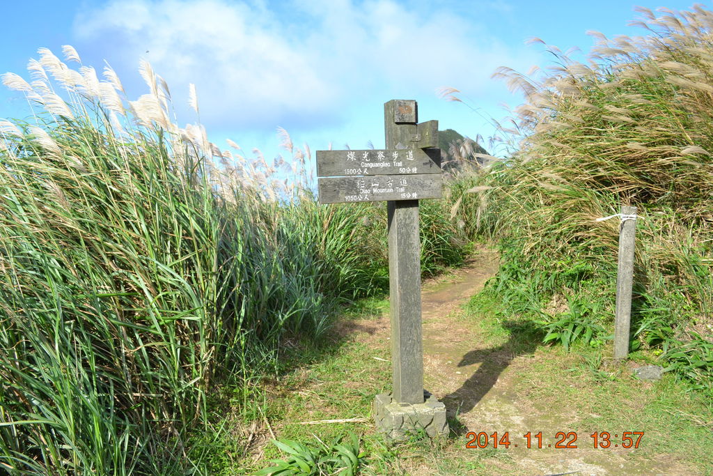 DSC_0313 DSC_0313