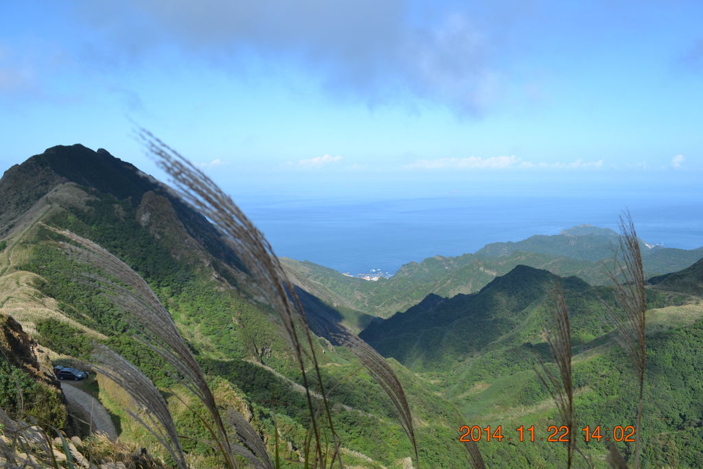 DSC_0315 DSC_0315