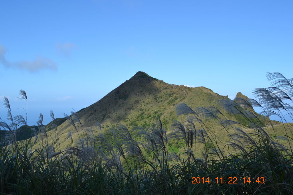 DSC_0328 DSC_0328