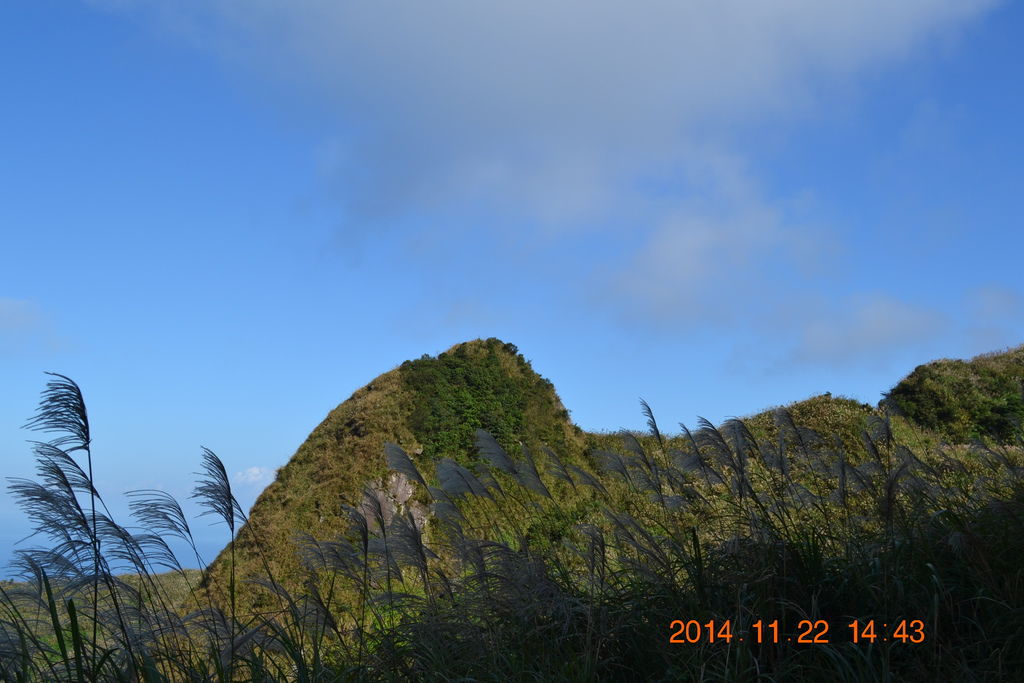 DSC_0329 DSC_0329