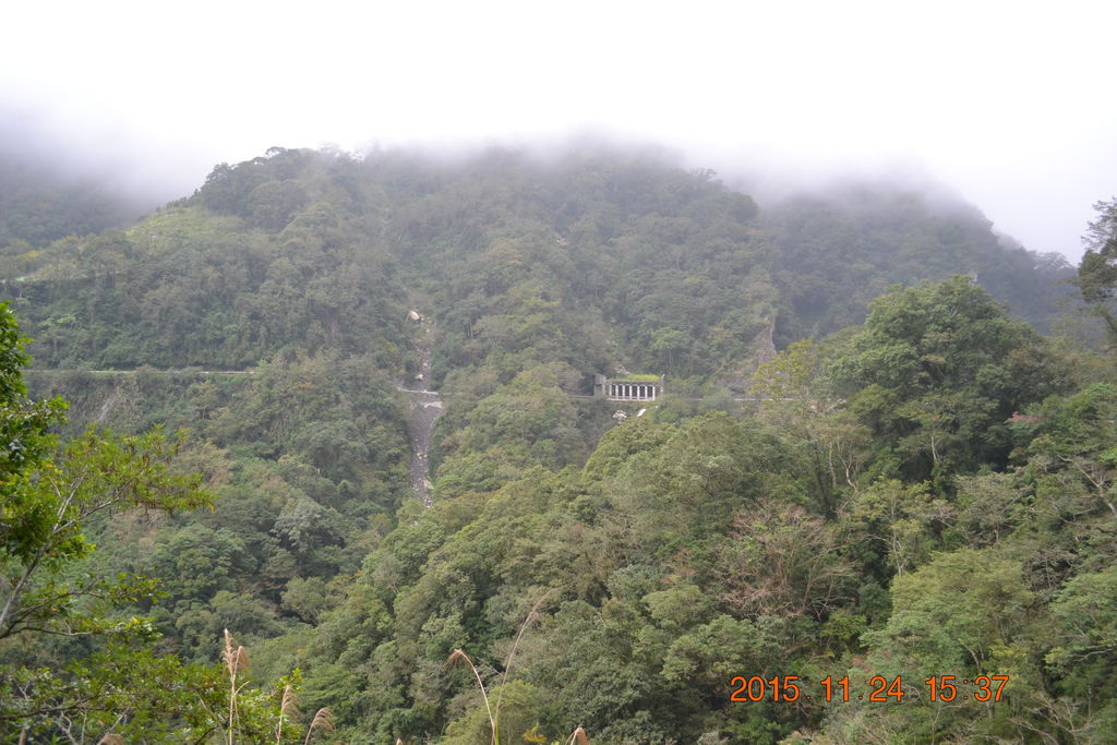 DSC_0208 DSC_0208