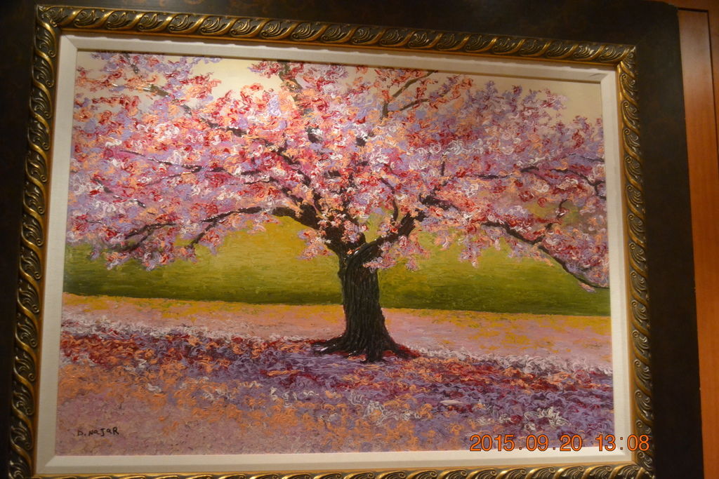 DSC_0705 DSC_0705