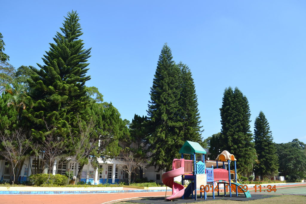 DSC_0256 DSC_0256