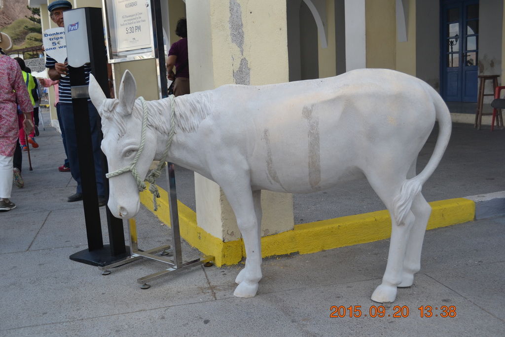DSC_0762 DSC_0762