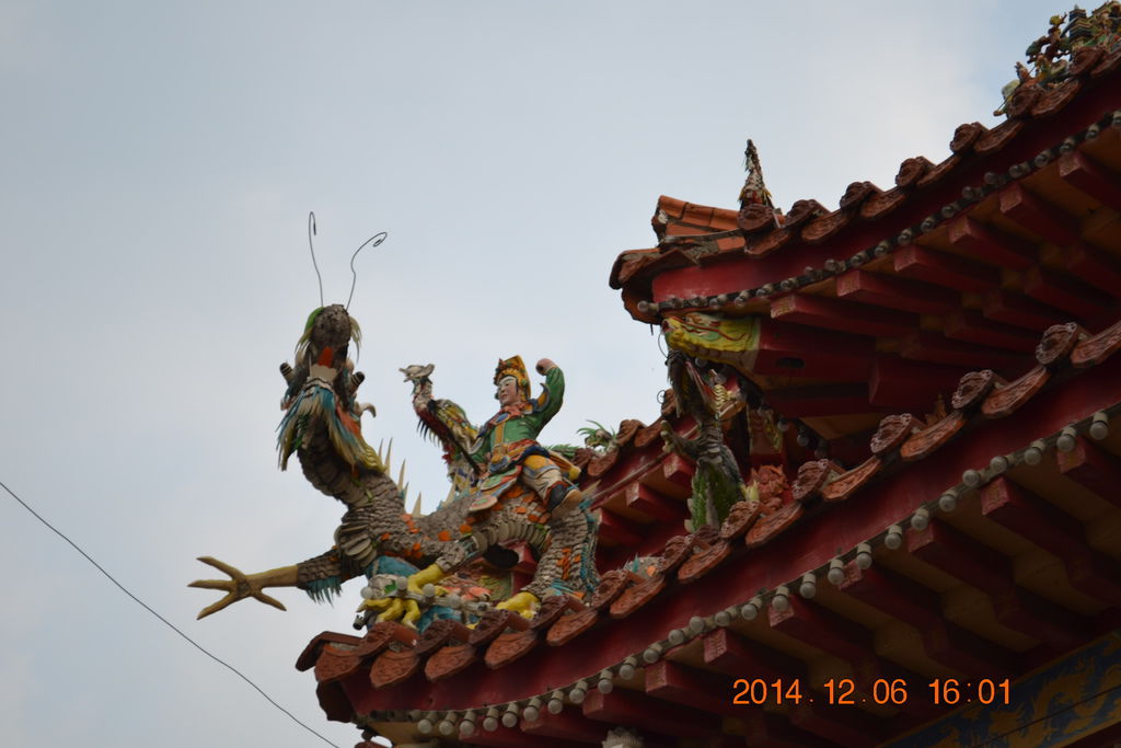 DSC_0100 DSC_0100