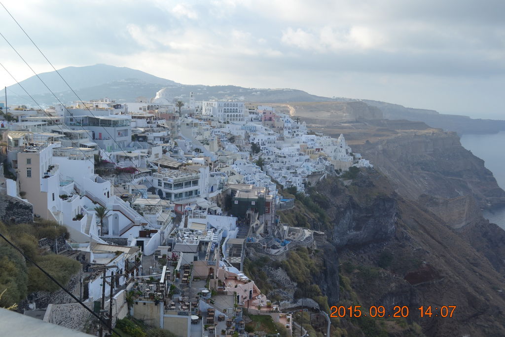 DSC_0782 DSC_0782