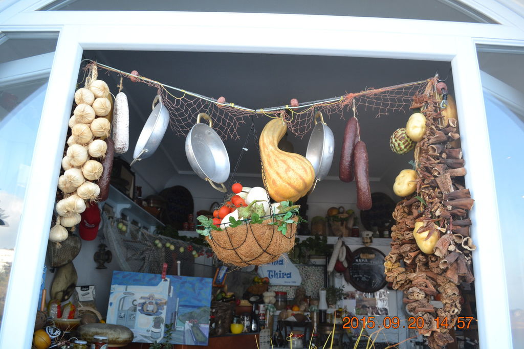 DSC_0869 DSC_0869