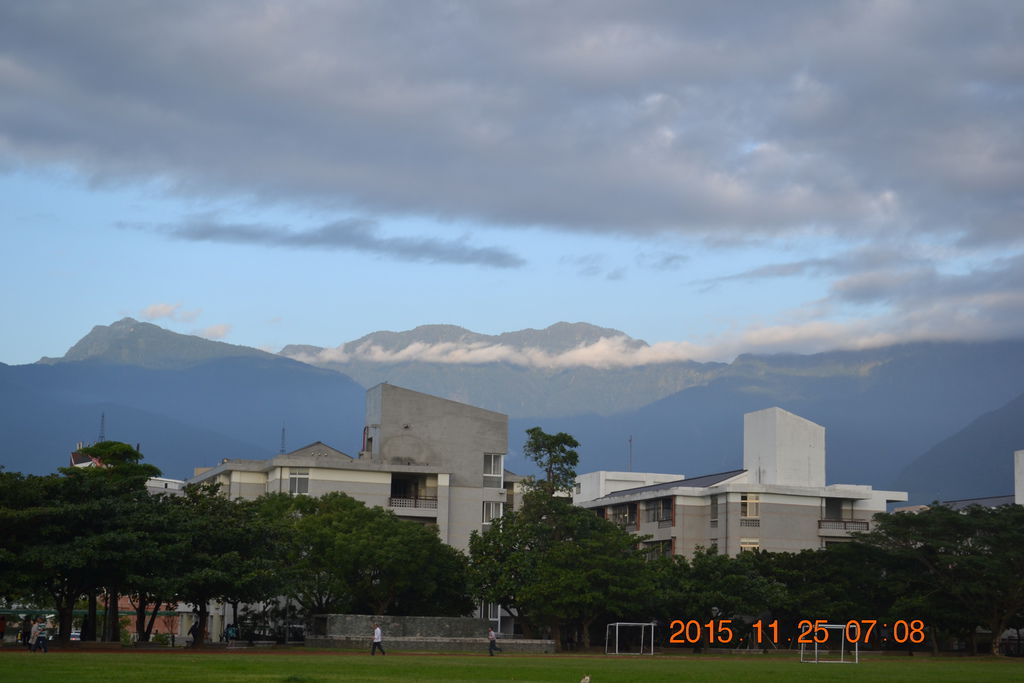 DSC_0446 DSC_0446