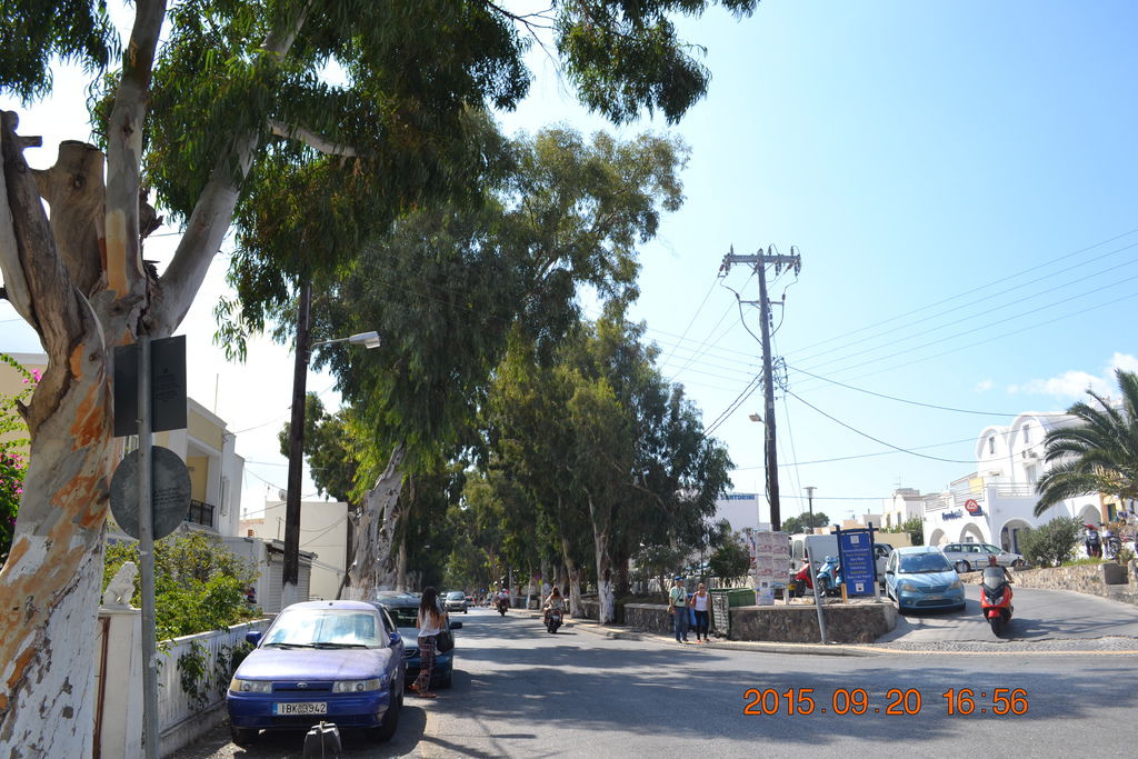 DSC_0957 DSC_0957