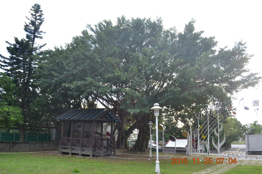 DSC_0441 DSC_0441