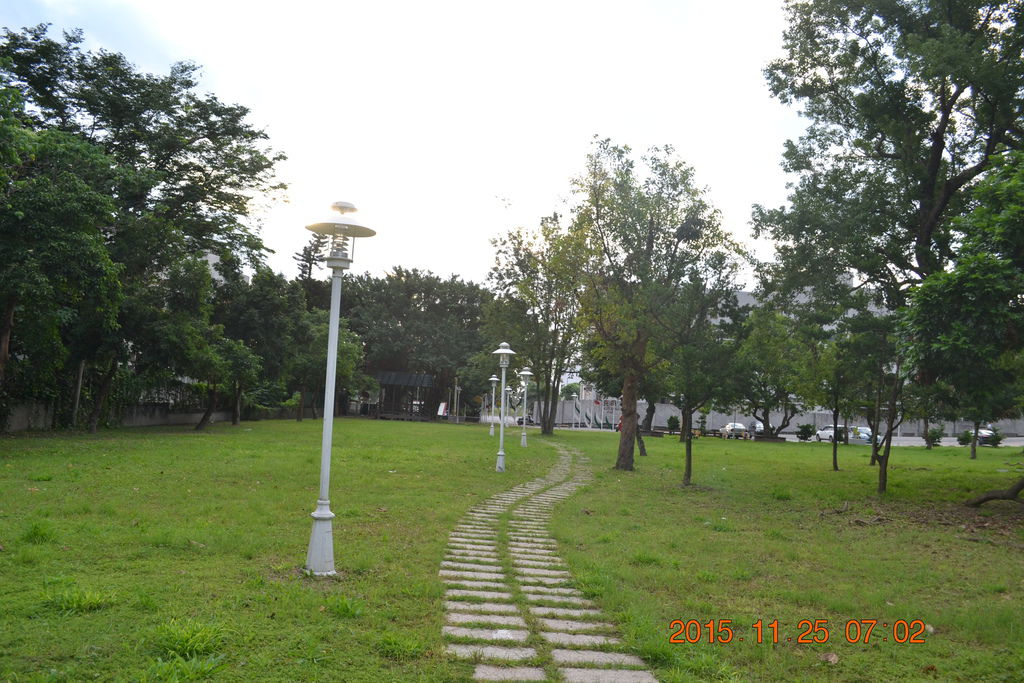DSC_0435 DSC_0435