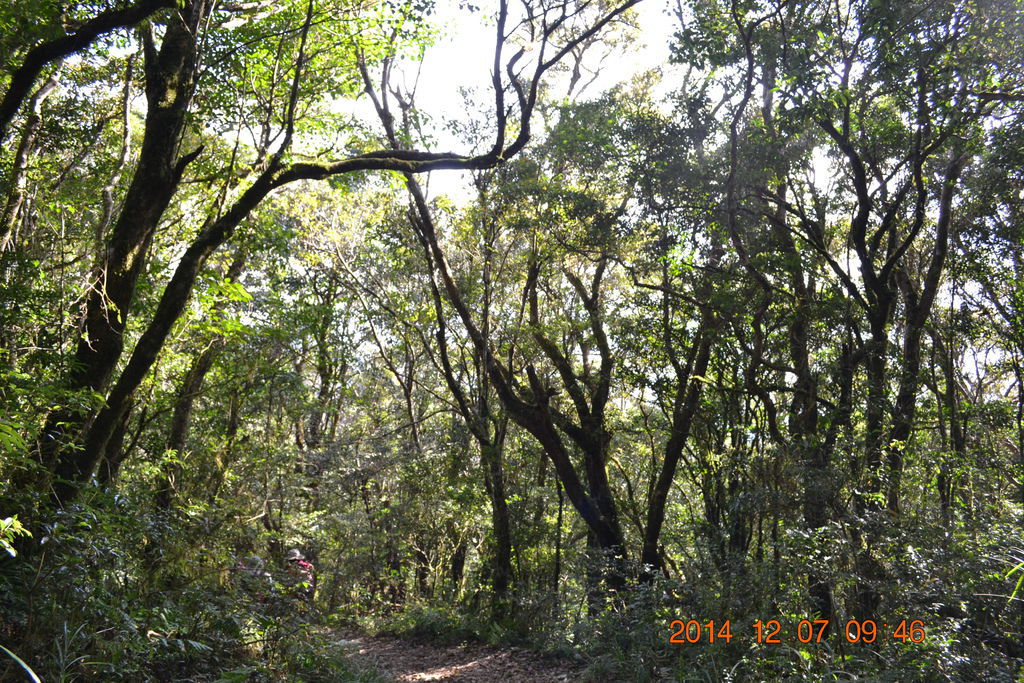 DSC_0252 DSC_0252