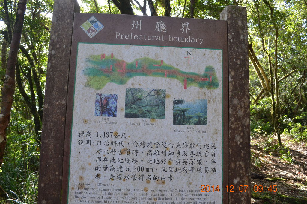 DSC_0249 DSC_0249
