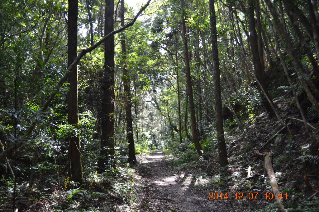 DSC_0267 DSC_0267