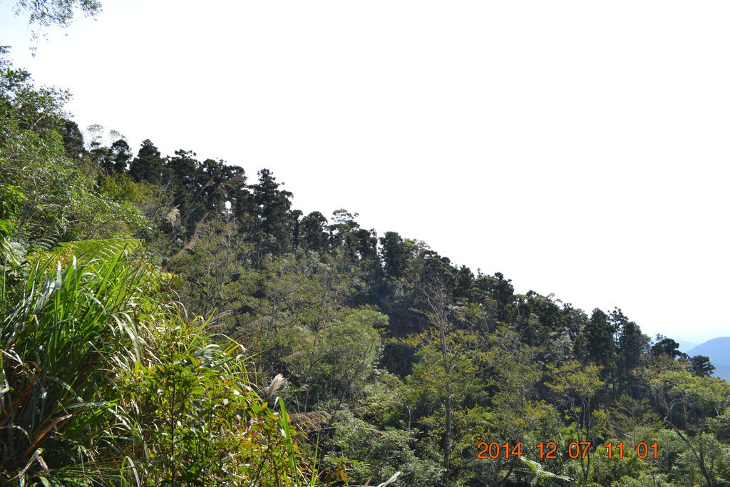 DSC_0269 DSC_0269