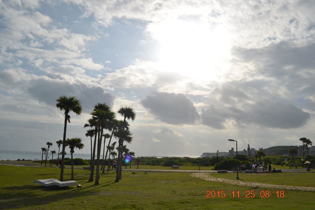 DSC_0481 DSC_0481