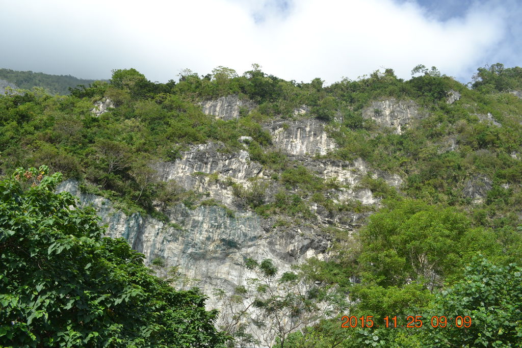 DSC_0525 DSC_0525
