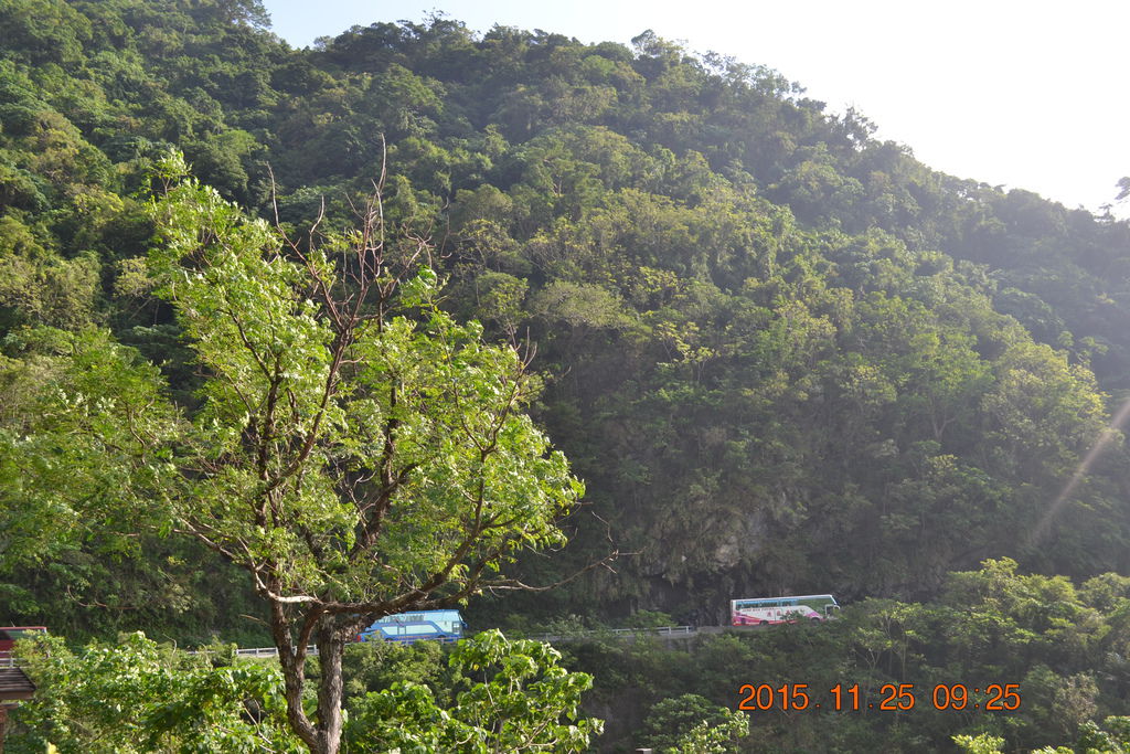 DSC_0545 DSC_0545