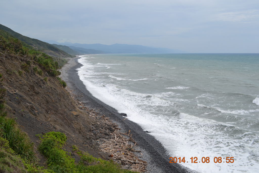 DSC_0445 DSC_0445