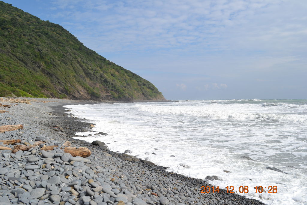 DSC_0477 DSC_0477