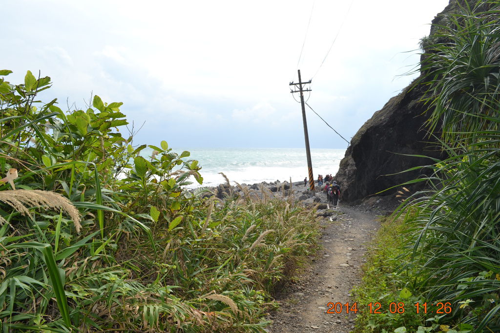 DSC_0503 DSC_0503