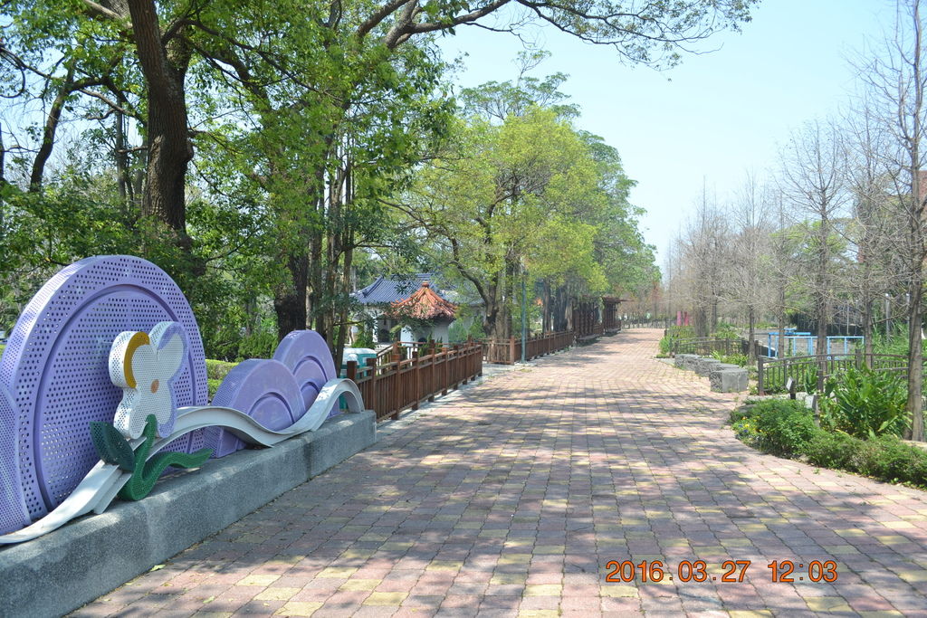 DSC_0017 DSC_0017