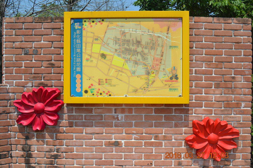 DSC_0016 DSC_0016