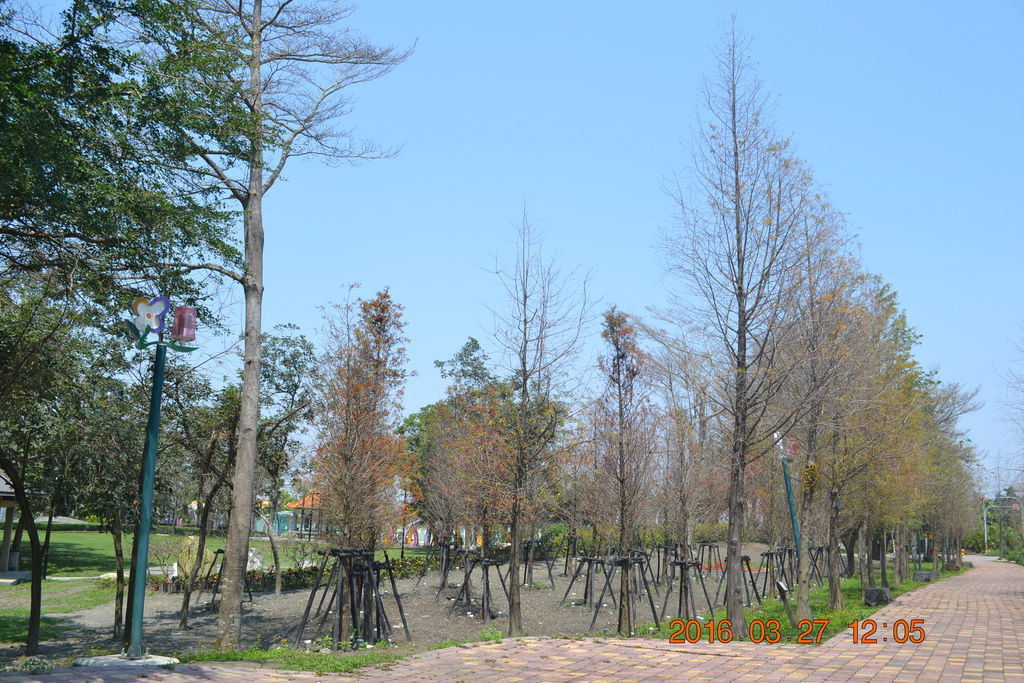 DSC_0021 DSC_0021