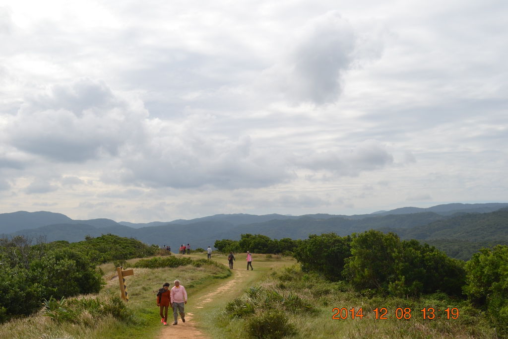 DSC_0558 DSC_0558