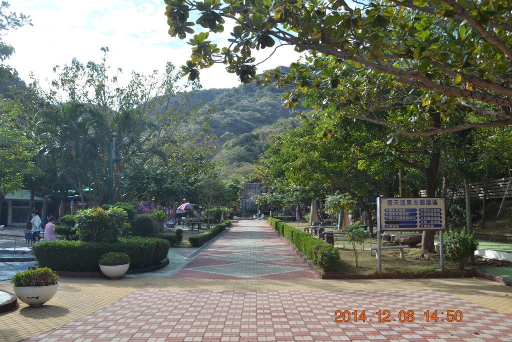 DSC_0569 DSC_0569
