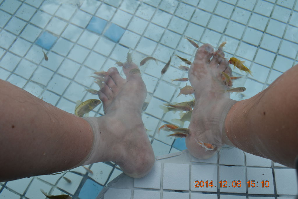 DSC_0579 DSC_0579