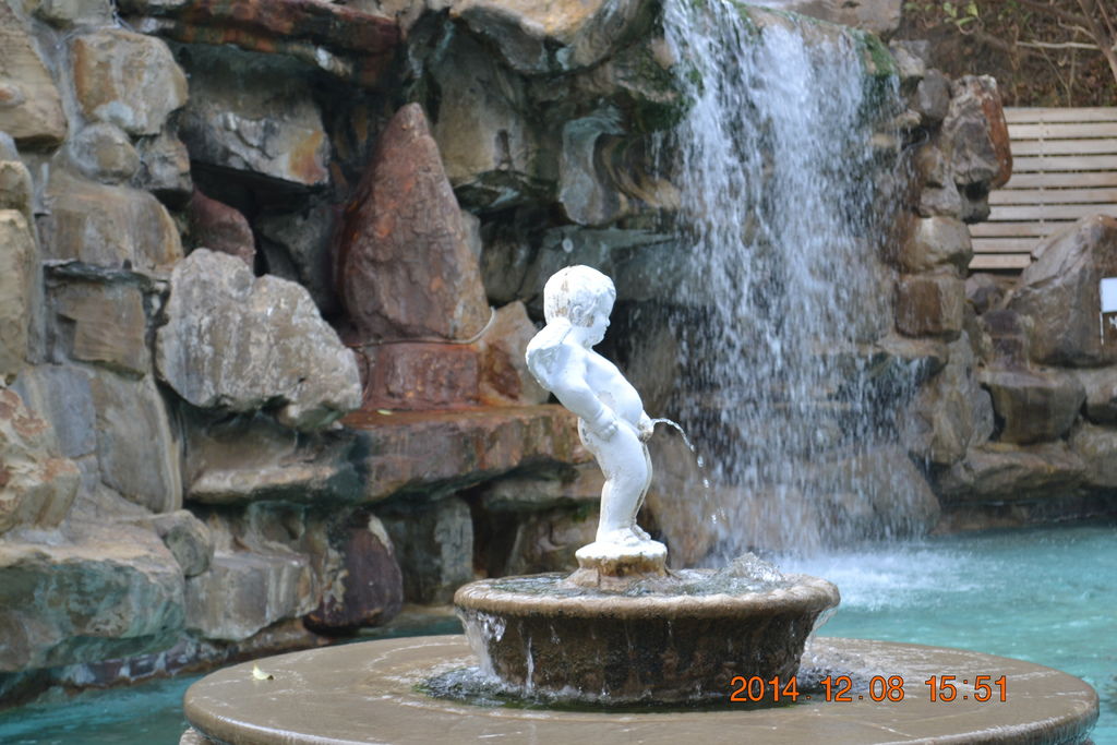 DSC_0588 DSC_0588