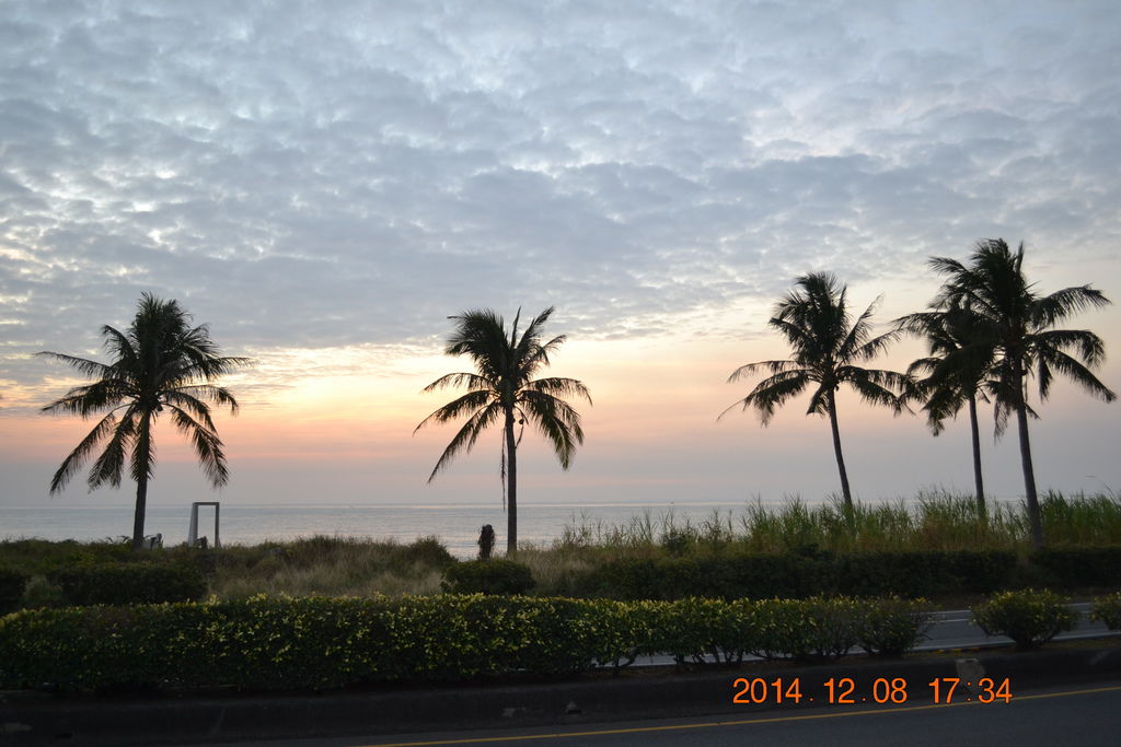DSC_0597 DSC_0597