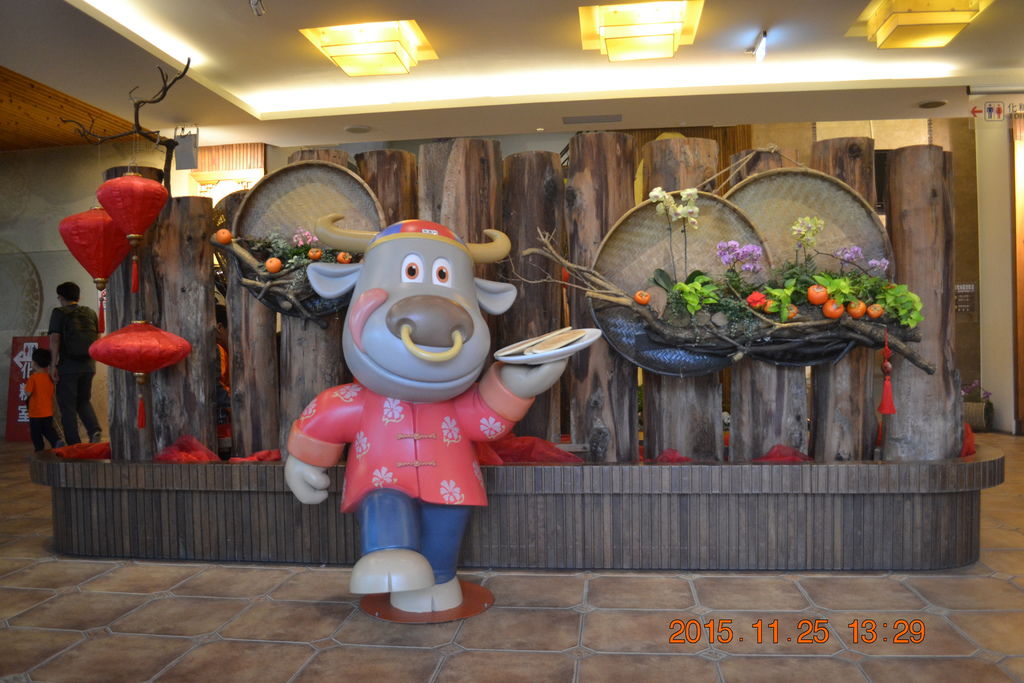DSC_0676 DSC_0676