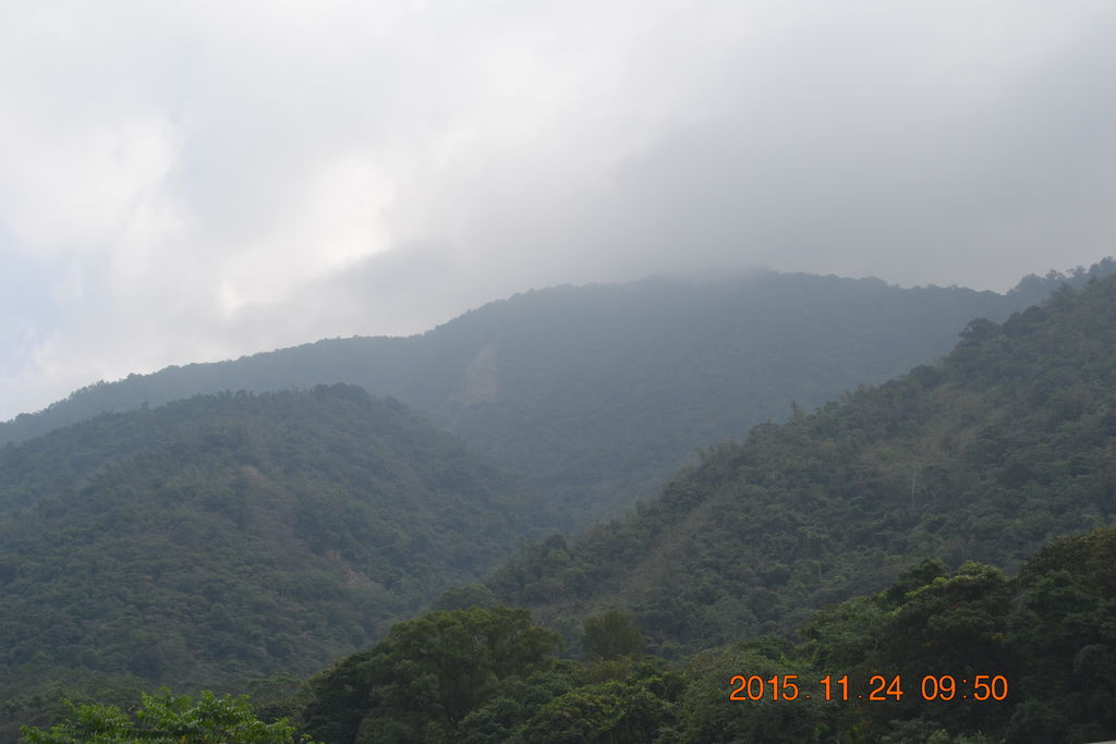 DSC_0003 DSC_0003