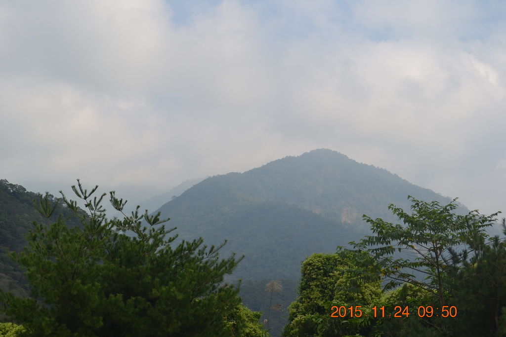 DSC_0002 DSC_0002