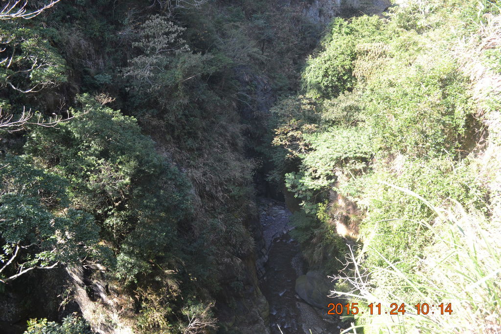 DSC_0014 DSC_0014