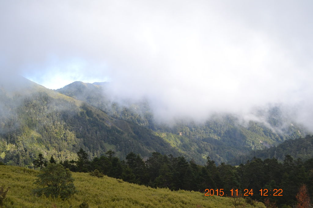 DSC_0084 DSC_0084