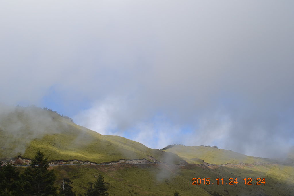 DSC_0087 DSC_0087