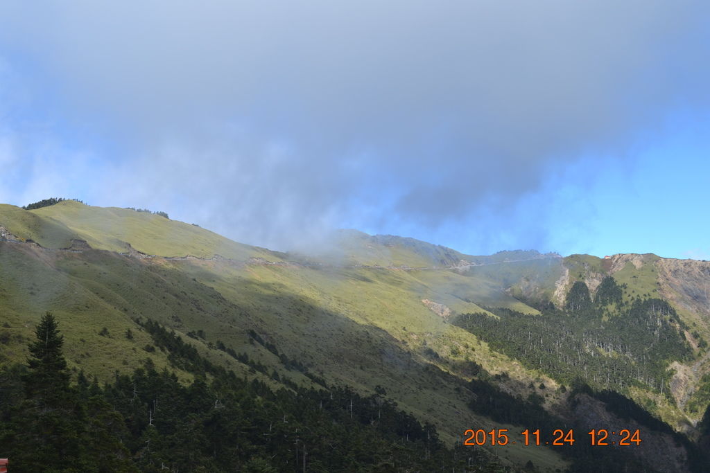 DSC_0088 DSC_0088