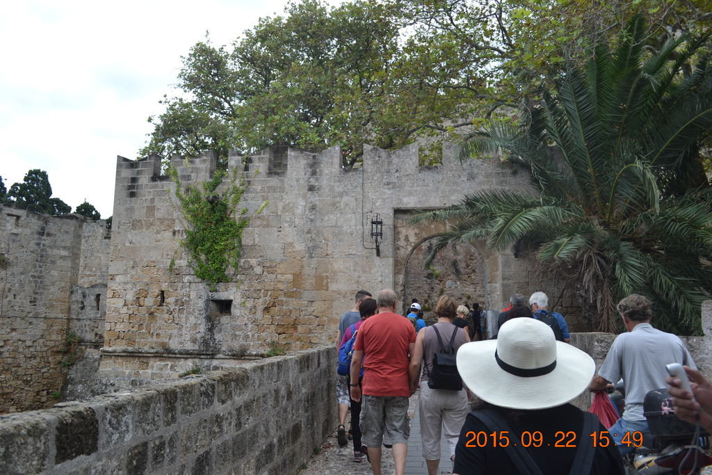 DSC_0538 DSC_0538