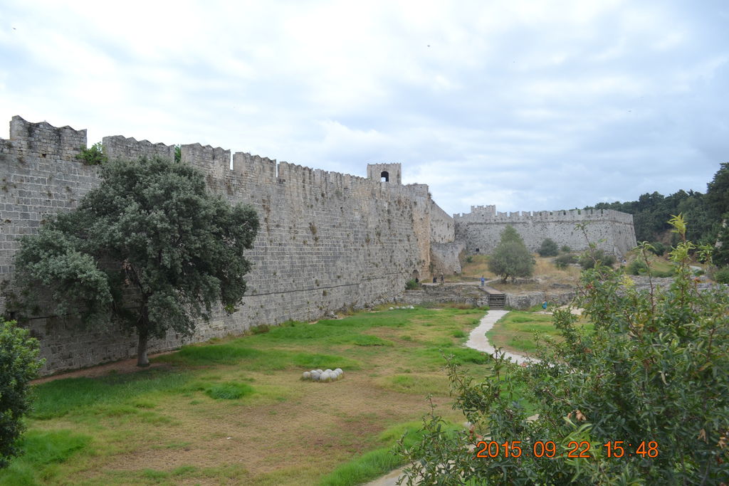 DSC_0534 DSC_0534