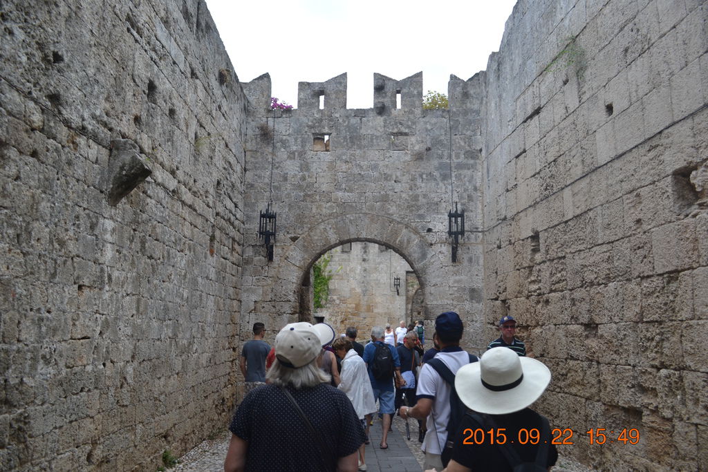 DSC_0537 DSC_0537